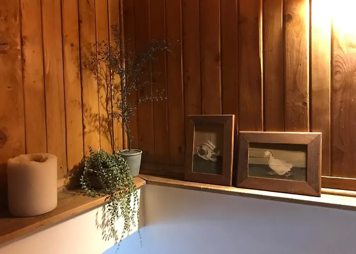 酒店 Vega 卡尔帕奇