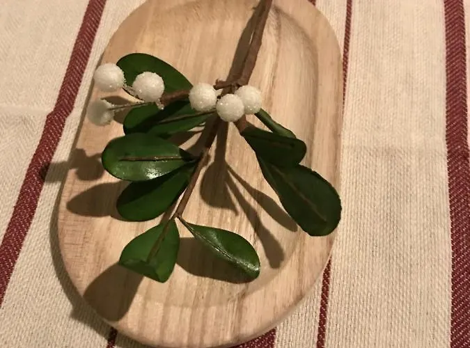 Vega 酒店 卡尔帕奇